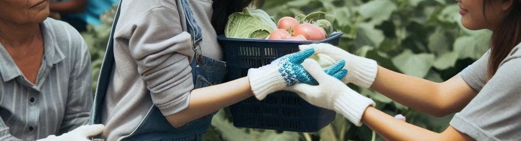 Volunteers in acts of generosity aiding migrant farmworkers